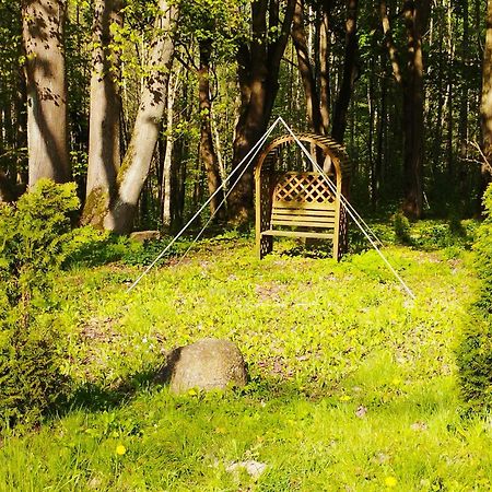 Lesna Polana Villa Stare Jabłonki Dış mekan fotoğraf