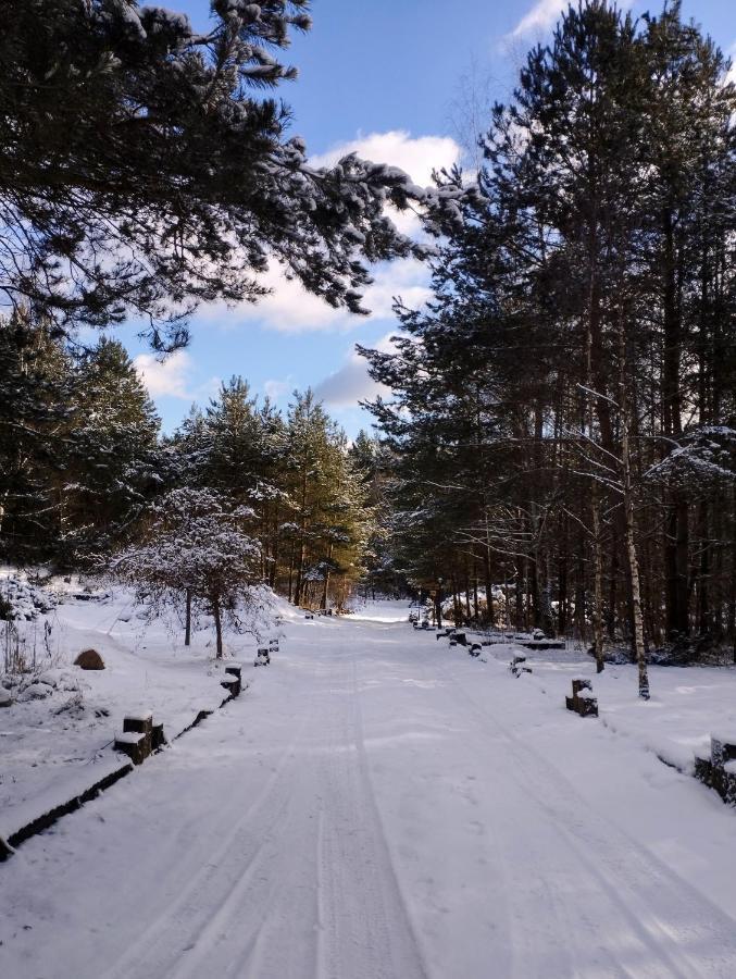 Lesna Polana Villa Stare Jabłonki Dış mekan fotoğraf